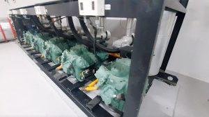 Captura-de-Tela-2025-01-21-às-1115.32