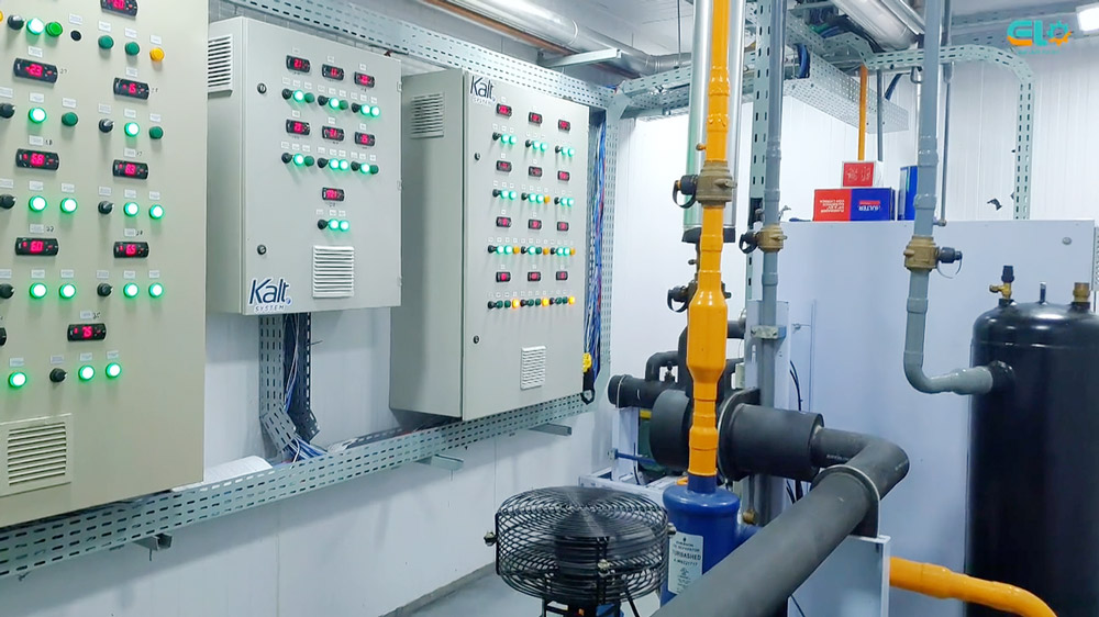 Captura-de-Tela-2025-01-21-às-12.04