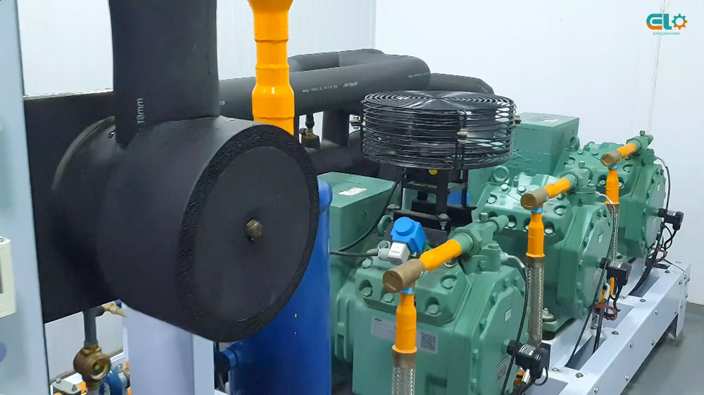 Captura-de-Tela-2025-01-21-às-14.48