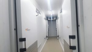 Captura-de-Tela-2025-01-21-às-14.49