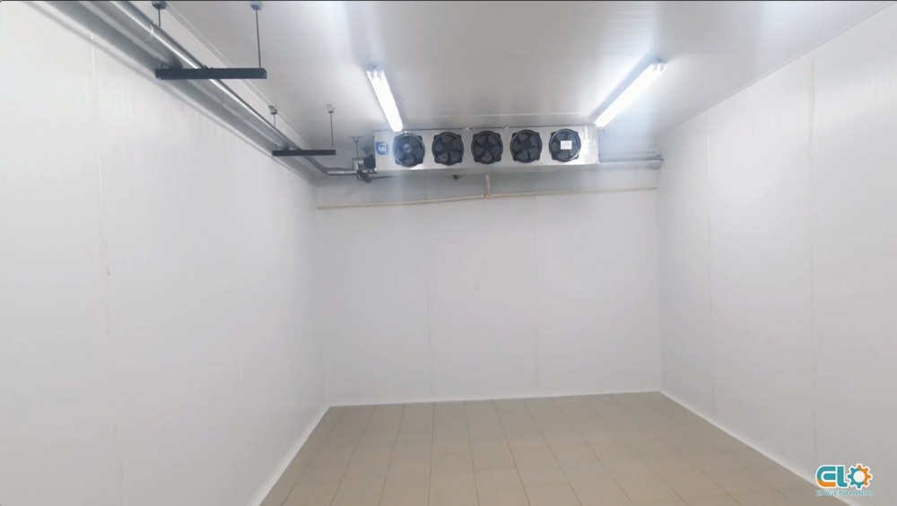 Captura-de-Tela-2025-01-21-às-14.50