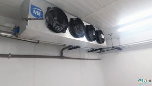 Captura-de-Tela-2025-01-21-às-14.520