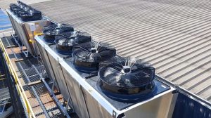 Captura-de-Tela-2025-01-21-às-15.054