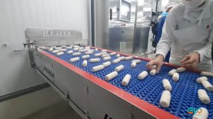 Captura-de-Tela-2025-01-21-às-15.09