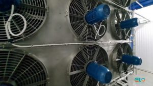 Captura-de-Tela-2025-01-21-às-15.10