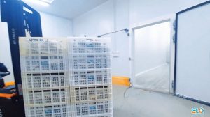 Captura-de-Tela-2025-01-21-às-15.1115