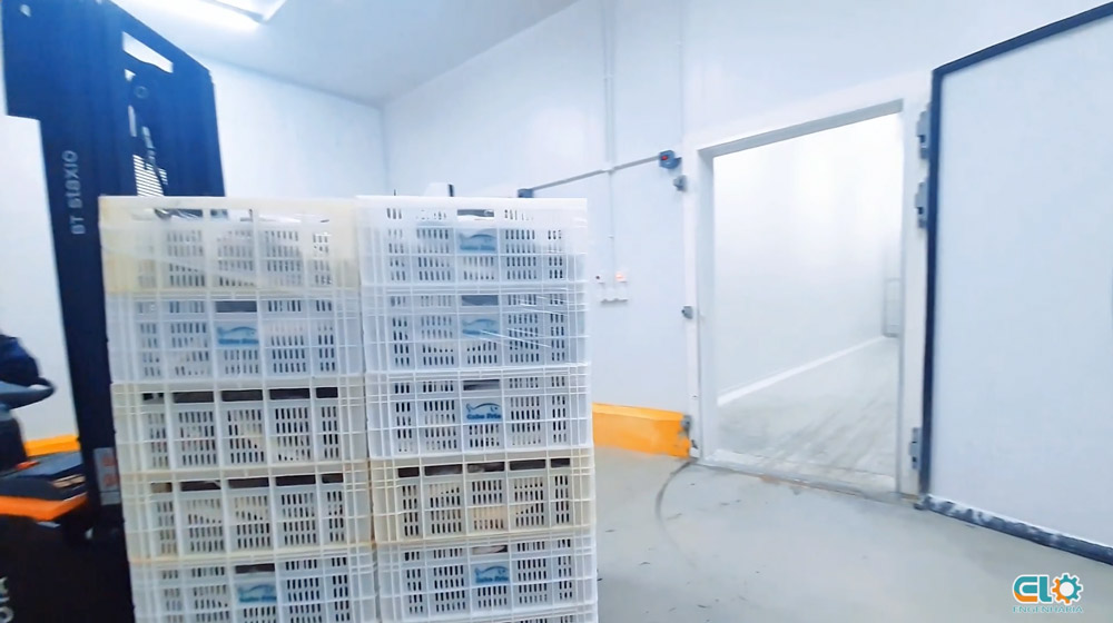 Captura-de-Tela-2025-01-21-às-15.1115