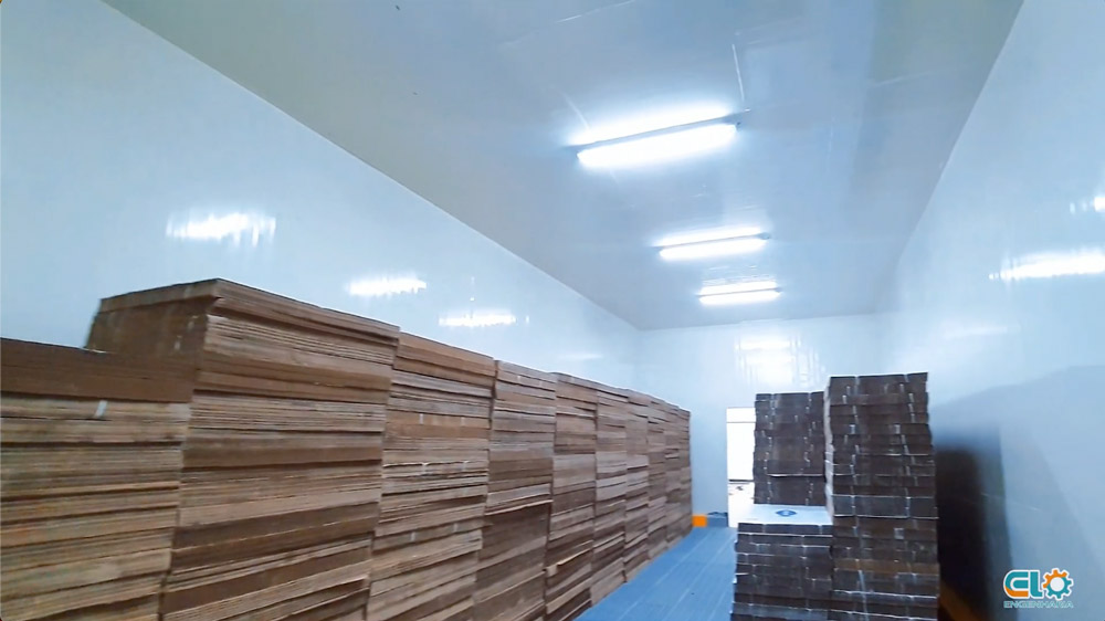 Captura-de-Tela-2025-01-21-às-15.125