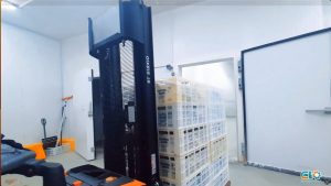 Captura-de-Tela-2025-01-21-às-15.13336