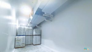 Captura-de-Tela-2025-01-21-às-15.1336