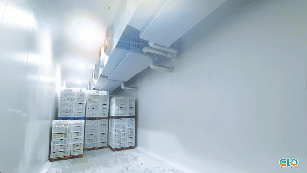 Captura-de-Tela-2025-01-21-às-15.1336