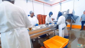 Captura-de-Tela-2025-01-21-às-15.15