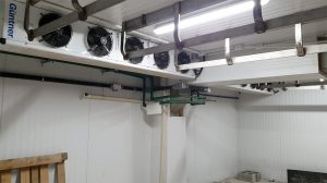 Captura-de-Tela-2025-01-21-às-15.27