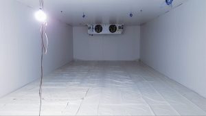 Captura-de-Tela-2025-01-21-às-15.304