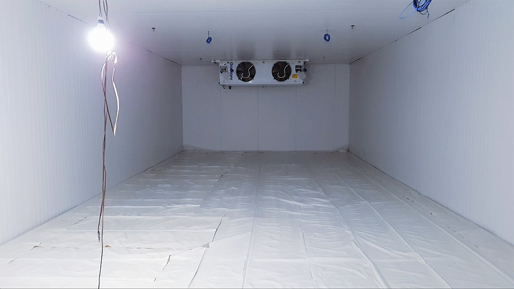 Captura-de-Tela-2025-01-21-às-15.304